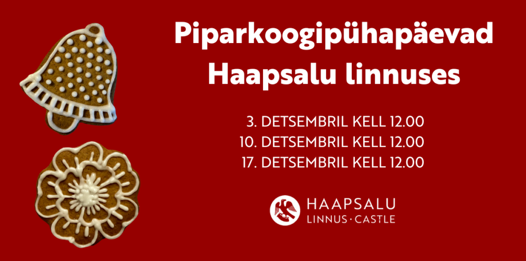 piparkoogipühapäevad fienta koduka bänner (1208 x 600 px)